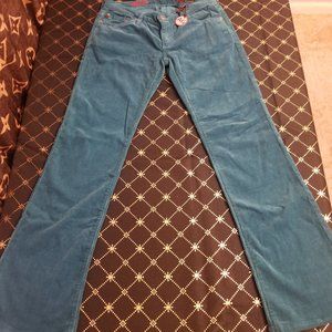 Adriano Goldschmied pants